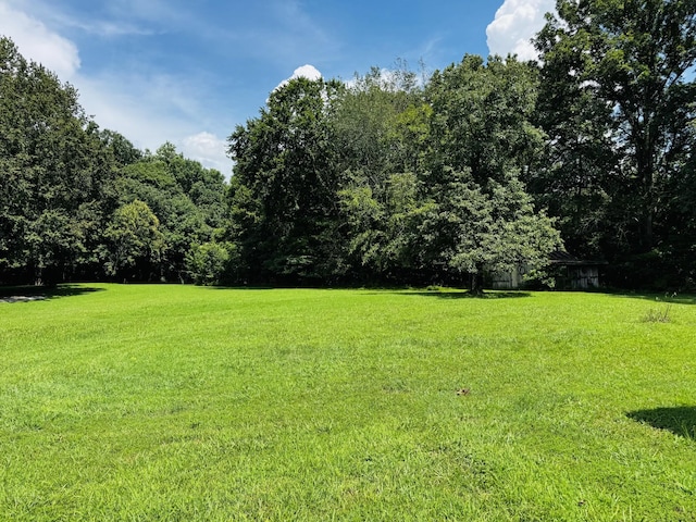 2095 Mosley Ferry Rd, Chapmansboro, TN 37035 - photo 3