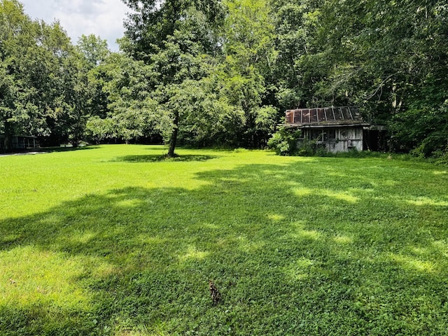 2095 Mosley Ferry Rd, Chapmansboro, TN 37035 - photo 6
