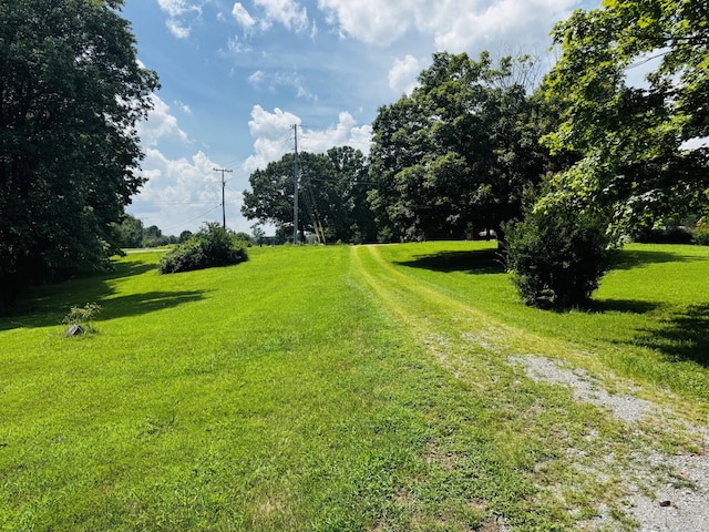 2095 Mosley Ferry Rd, Chapmansboro, TN 37035 - photo 7