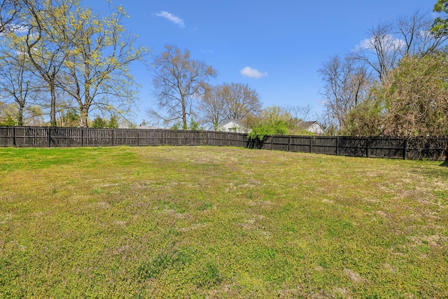 1103 Virginia Ave, Murfreesboro, TN 37130 - photo 56
