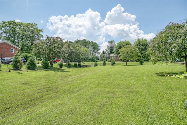346 Washington St, Sparta, TN 38583 - photo 11