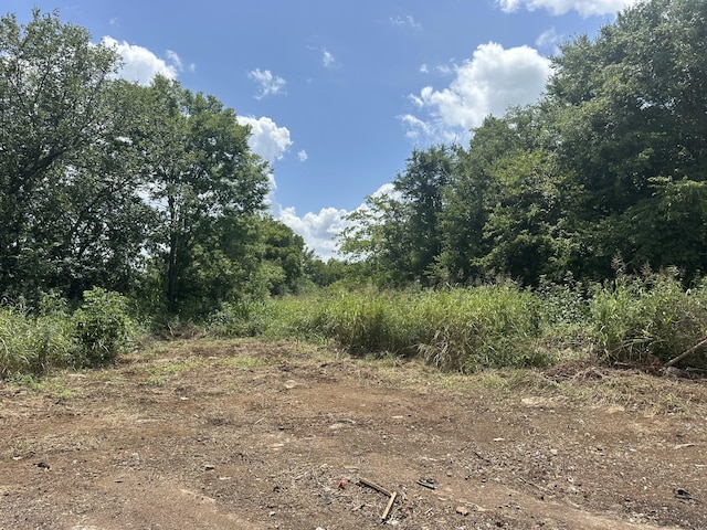 2951 Roy Mccollum Rd, Lewisburg, TN 37091 - photo 5