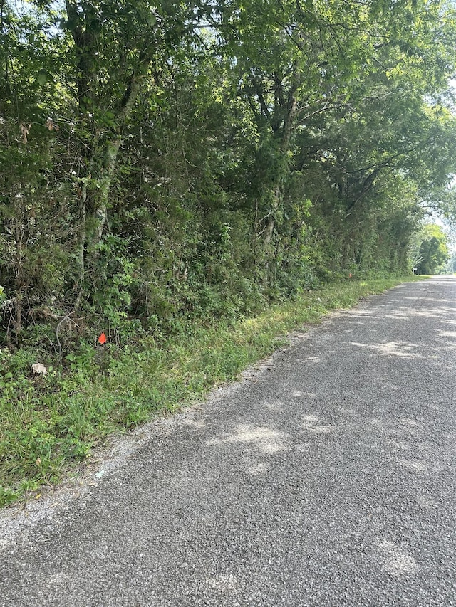 2951 Roy Mccollum Rd, Lewisburg, TN 37091 - photo 7