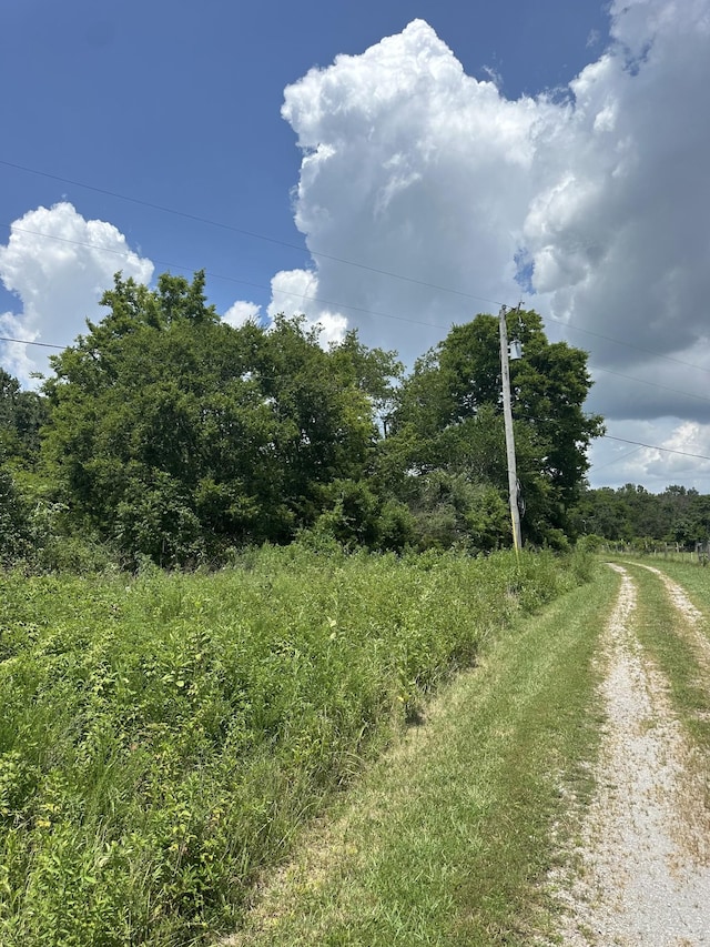 2951 Roy Mccollum Rd, Lewisburg, TN 37091 - photo 3
