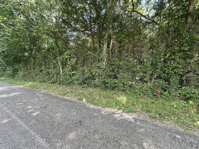 2951 Roy Mccollum Rd, Lewisburg, TN 37091 - photo 1
