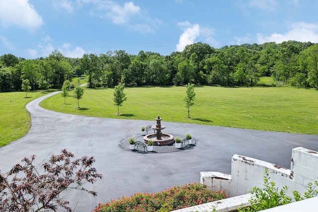 1181 Chicken Rd, Lebanon, TN 37090 - photo 16