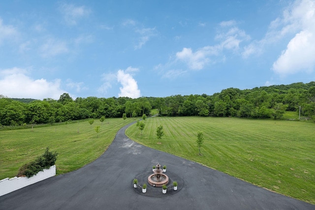 1181 Chicken Rd, Lebanon, TN 37090 - photo 81