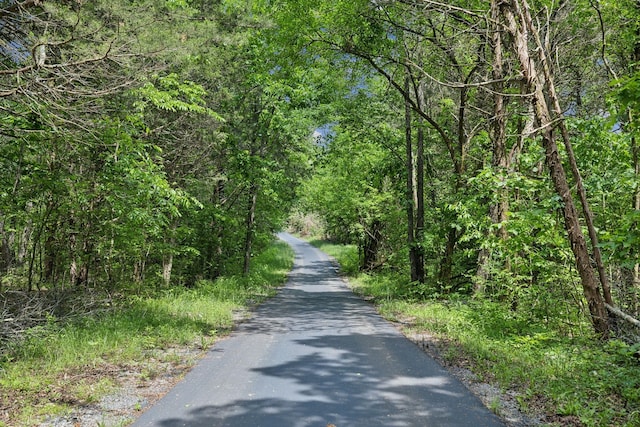1181 Chicken Rd, Lebanon, TN 37090 - photo 82