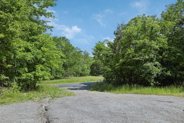 1181 Chicken Rd, Lebanon, TN 37090 - photo 84