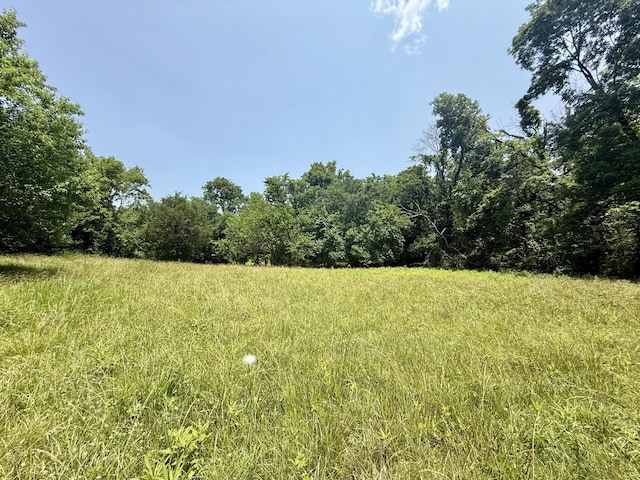 1181 Chicken Rd, Lebanon, TN 37090 - photo 88