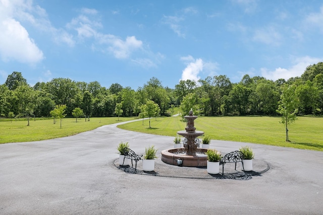 1181 Chicken Rd, Lebanon, TN 37090 - photo 15