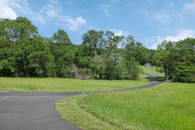 1181 Chicken Rd, Lebanon, TN 37090 - photo 85