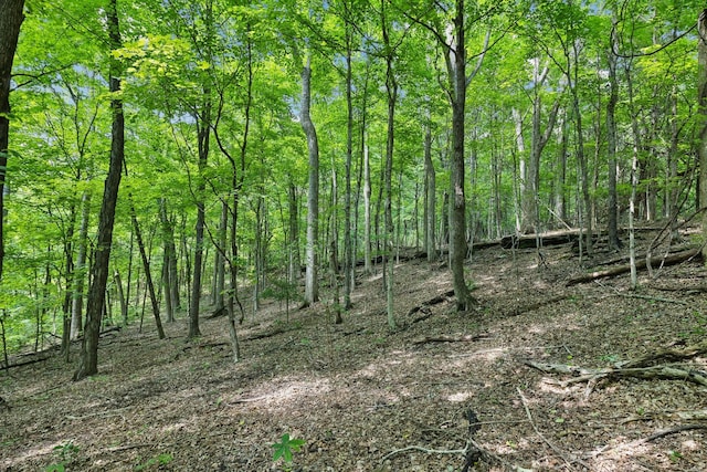 1181 Chicken Rd, Lebanon, TN 37090 - photo 83