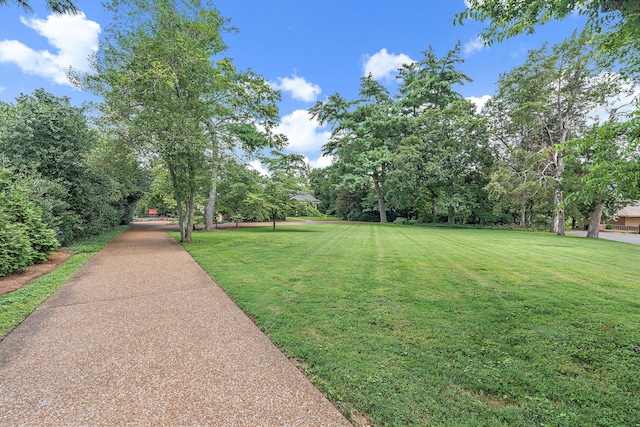 201 Sunnyside Dr, Nashville, TN 37205 - photo 59