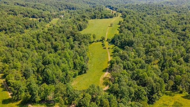 7393 S Harpeth Rd, Franklin, TN 37064 - photo 6