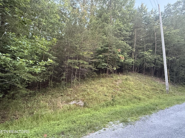 21 Valarian Ter, Crossville, TN 38558 - photo 2