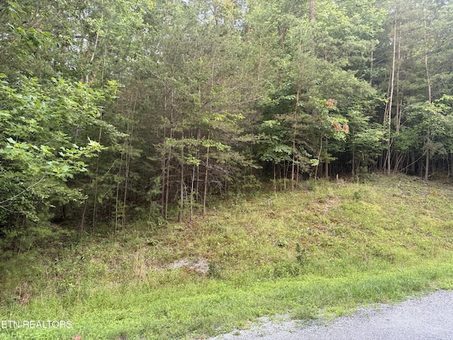 21 Valarian Ter, Crossville, TN 38558 - photo 1