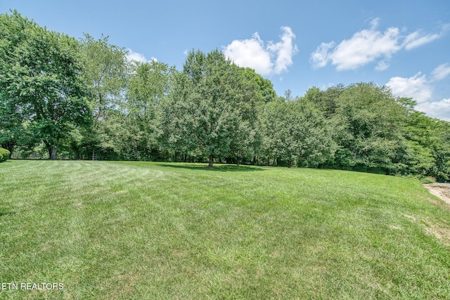 243 Ottoma Dr, Crossville, TN 38555 - photo 5