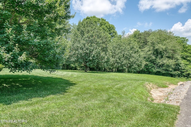 243 Ottoma Dr, Crossville, TN 38555 - photo 4