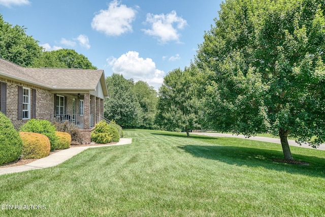 243 Ottoma Dr, Crossville, TN 38555 - photo 9
