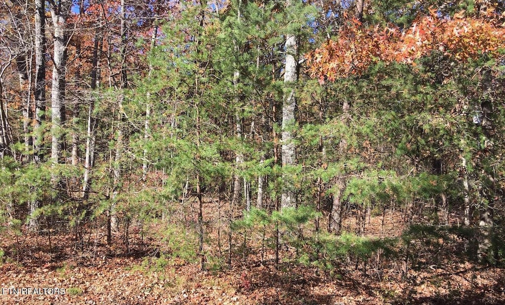 129 Monticello Ln, Crossville, TN 38558 - photo 2