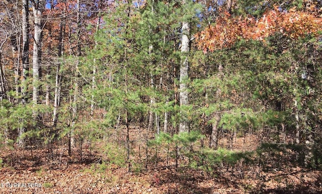 129 Monticello Ln, Crossville, TN 38558 - photo 2