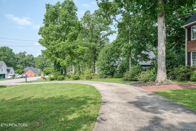 101 Sandpiper Loop, Crossville, TN 38555 - photo 5