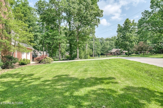 101 Sandpiper Loop, Crossville, TN 38555 - photo 8