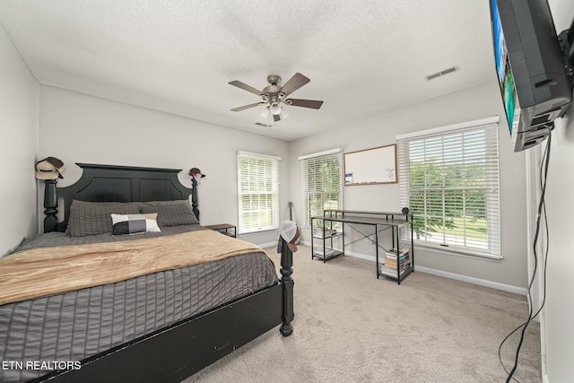 101 Sandpiper Loop, Crossville, TN 38555 - photo 48