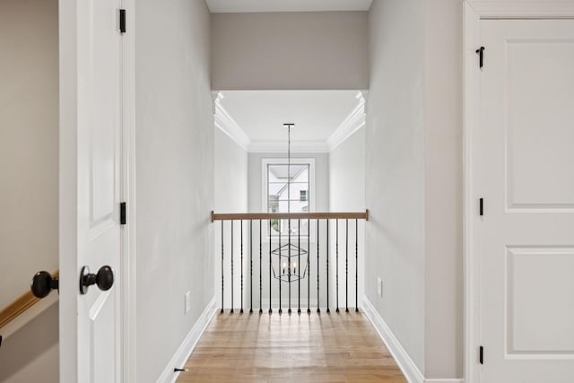 1712 Sorrell Park Dr, Spring Hill, TN 37174 - photo 44