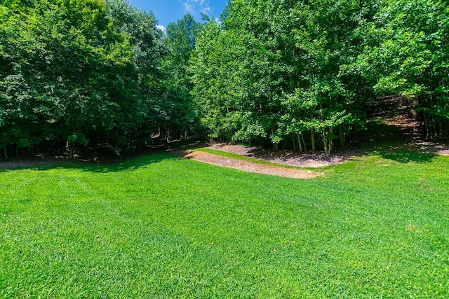 144 N Howard Fitch Rd, Kelso, TN 37348 - photo 10