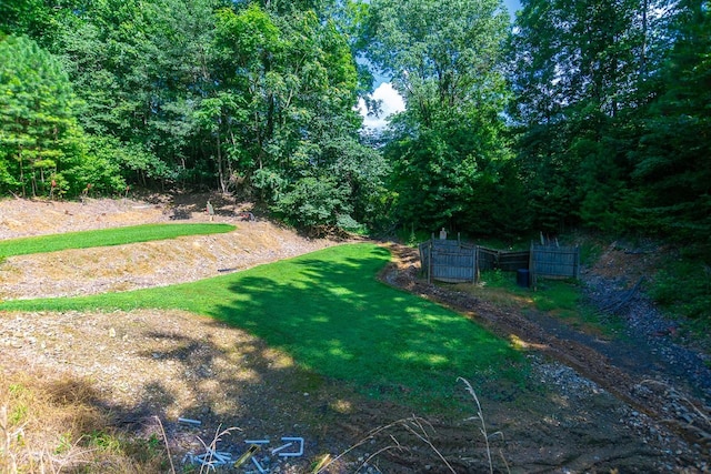 144 N Howard Fitch Rd, Kelso, TN 37348 - photo 11