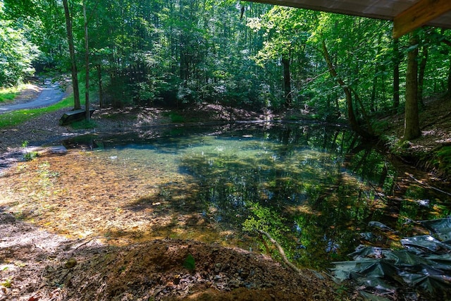 144 N Howard Fitch Rd, Kelso, TN 37348 - photo 13