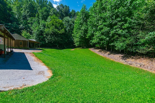 144 N Howard Fitch Rd, Kelso, TN 37348 - photo 7
