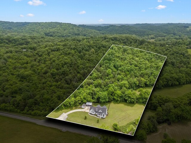 4770 Delina Rd, Cornersville, TN 37047 - photo 70