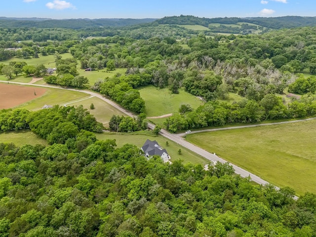 4770 Delina Rd, Cornersville, TN 37047 - photo 57