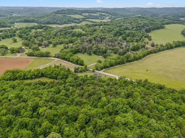 4770 Delina Rd, Cornersville, TN 37047 - photo 58