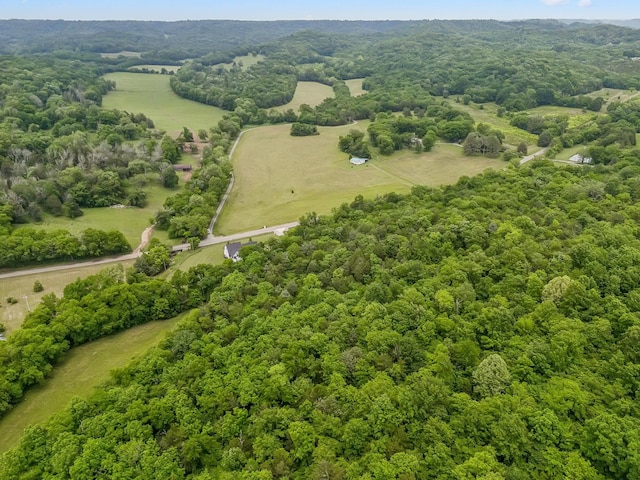 4770 Delina Rd, Cornersville, TN 37047 - photo 60