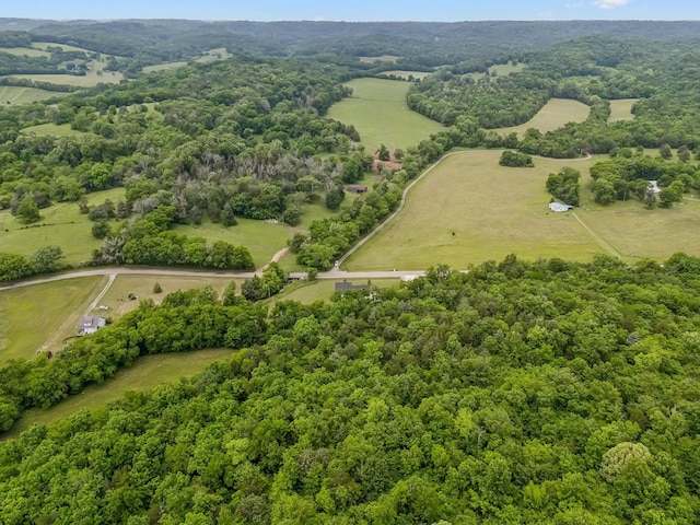 4770 Delina Rd, Cornersville, TN 37047 - photo 59