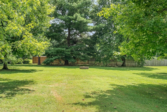 461 Tyler Ct, Cottontown, TN 37048 - photo 24