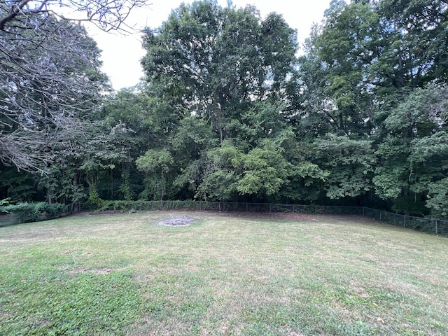 118 Krantz Ct, Ashland City, TN 37015 - photo 24