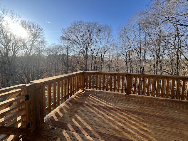 118 Krantz Ct, Ashland City, TN 37015 - photo 36