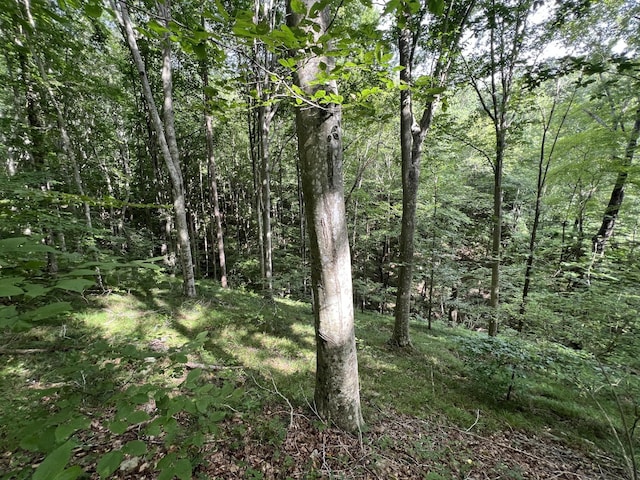 118 Krantz Ct, Ashland City, TN 37015 - photo 29