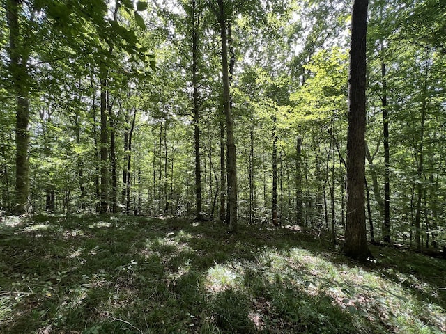 118 Krantz Ct, Ashland City, TN 37015 - photo 27