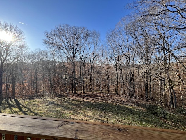 118 Krantz Ct, Ashland City, TN 37015 - photo 37