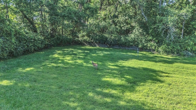 1038 Tyne Blvd, Nashville, TN 37220 - photo 9