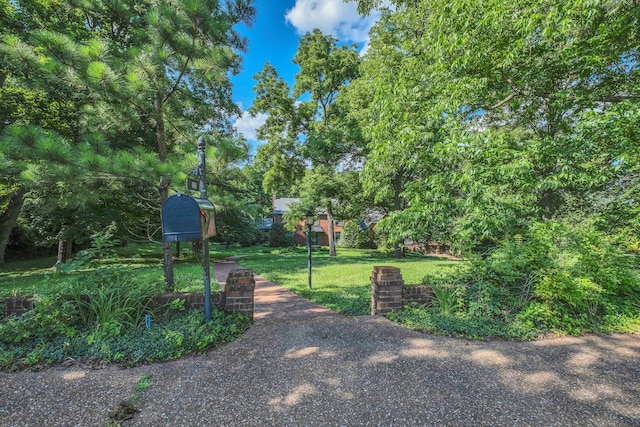1038 Tyne Blvd, Nashville, TN 37220 - photo 22