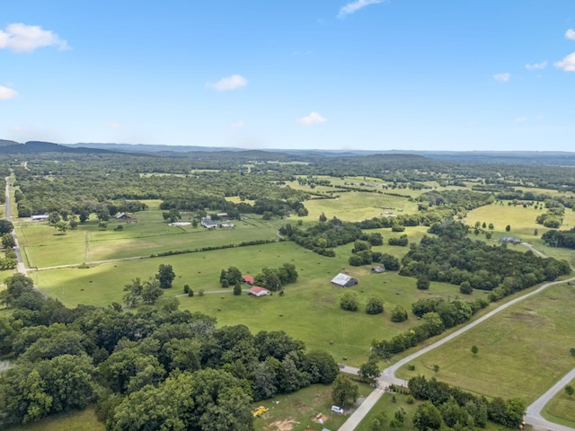 2326 Holly Grove Rd, Lascassas, TN 37085 - photo 38