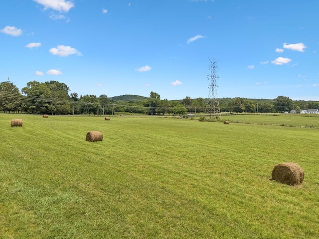 2326 Holly Grove Rd, Lascassas, TN 37085 - photo 34