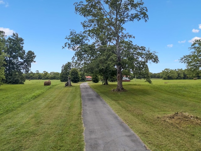 2326 Holly Grove Rd, Lascassas, TN 37085 - photo 2